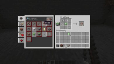 leads minecraft